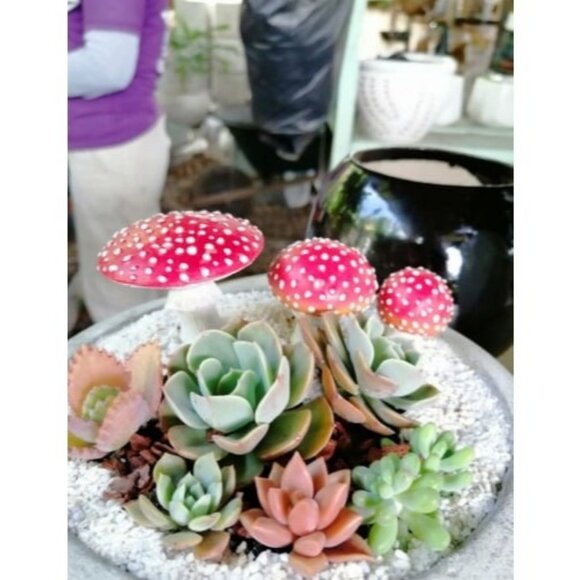 Fairy Garden Miniatures, Mushroom Decor, Glow in The Dark Fairy Garden Decor - Picture 2 of 3